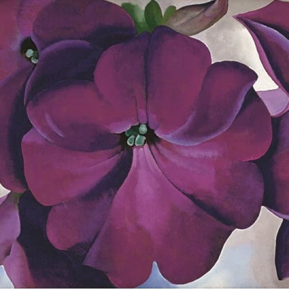 Meet your Posher, Anna - Picture 1 of 1